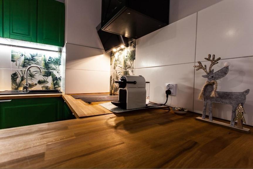 Zielony Apartament Gliwice Zewnętrze zdjęcie